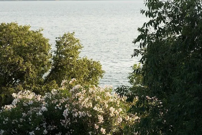 Apartment Eva Maslenica